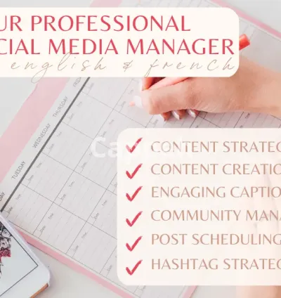 I will be your professional social media manager in french or english