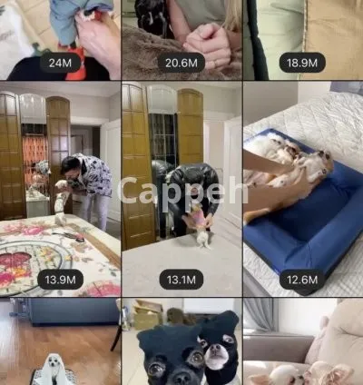 I will do instagram shoutout promo on 1 million follower ig pages