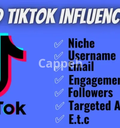 I will find the best tik tok influencers for your brand