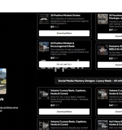 I will build you a stan store complete with digital products to sell