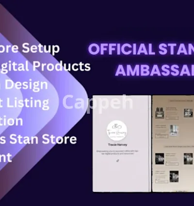 I will build you a stan store complete with digital products to sell