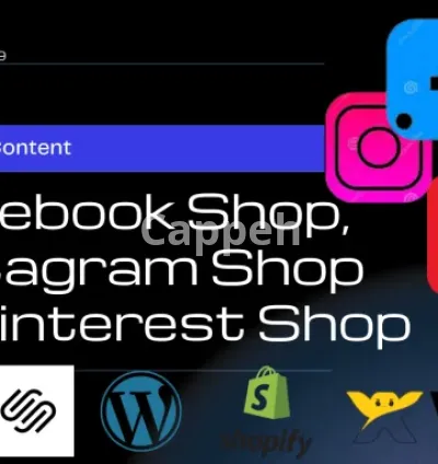 I will set up facebook, instagram shop, tiktok shop and pinterest shop