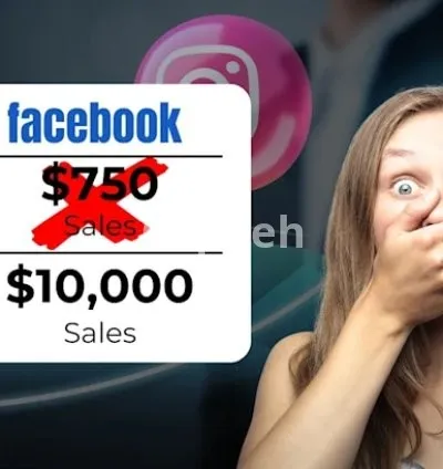 I will be your facebook and instagram ads campaign manager