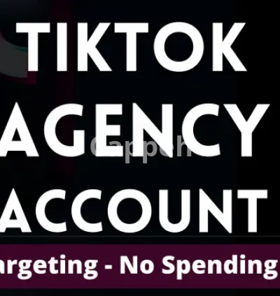 I will help with tiktok ads agency account