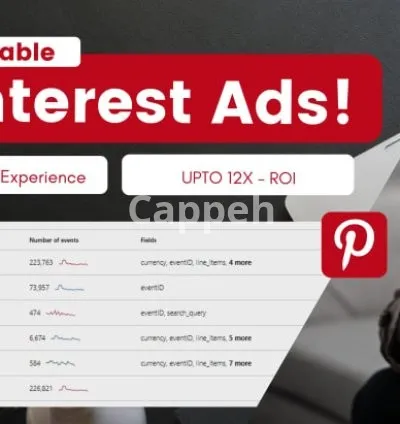 I will run pinterest ads campaigns for your business