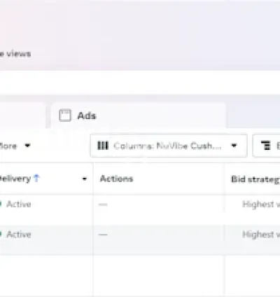 I will create and manage your facebook and instagram ads campaign