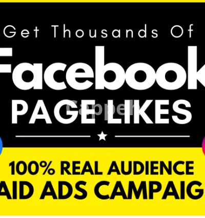 I will run a facebook ad campaign to grow your page likes