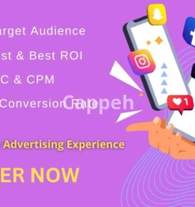I will run highly converting fb and ig ads campaigns for sales