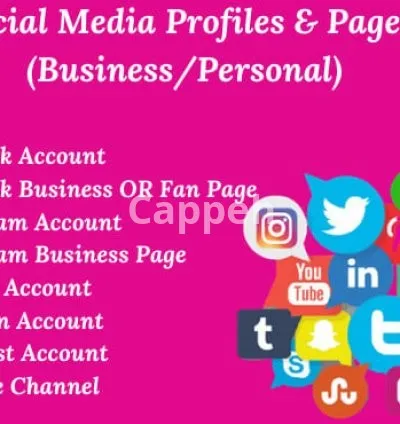 I will set up your social media accounts and pages