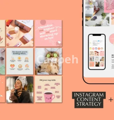 I will create your professional instagram content strategy