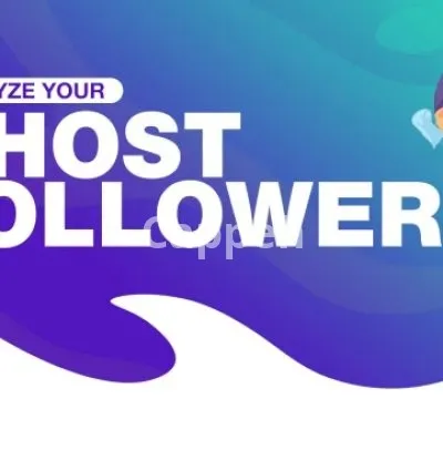 I will identify all your instagram fake inactive and ghost followers
