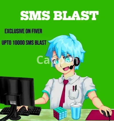 I will do 300 real estate SMS blast