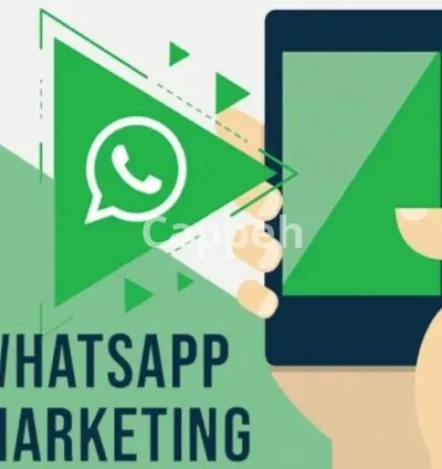 I will send whatsapp bulk SMS messages marketing for your business in one click
