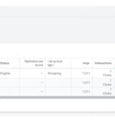 I will setup google adwords remarketing or retargeting