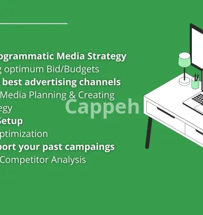 I will 360 degree manage your programmatic campaign