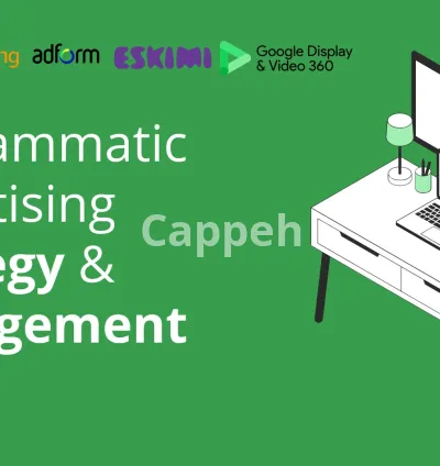 I will 360 degree manage your programmatic campaign