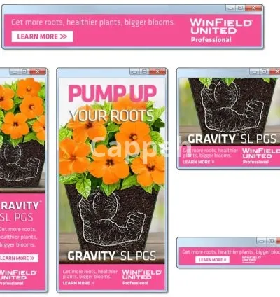 I will design and develop static and animated web HTML5 and GIF banner ads