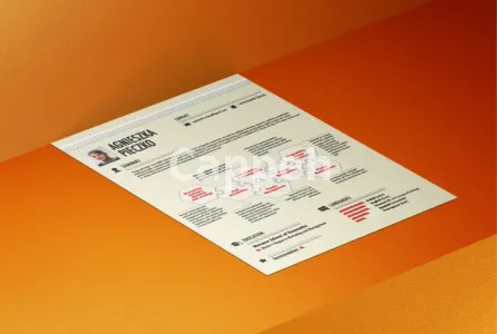 I will design an infographic cv in under 48h