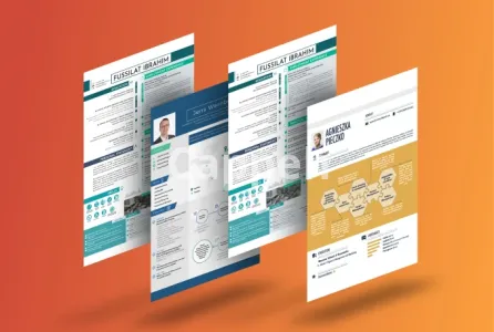 I will design an infographic cv in under 48h