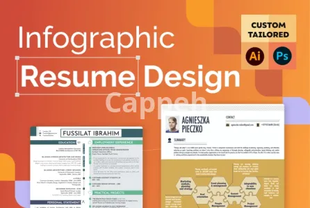 I will design an infographic cv in under 48h