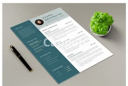 I will design professional resume, cv and cover letter template