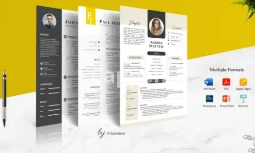 I will perform professional resume design and CV design