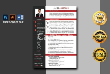 I will do professional resume or cv design in 3 hours