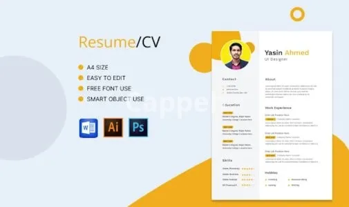 I will re write professional resume, ats cv, cover letter and linkedin