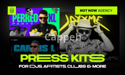 I will do cutting edge, press kit, epk design