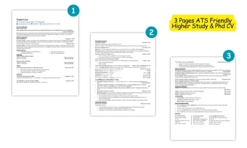 I will write academic CV phd CV linkedin optimization scholarship and intern cvs