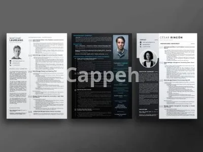 I will professionally design a job winning resume and academic CV