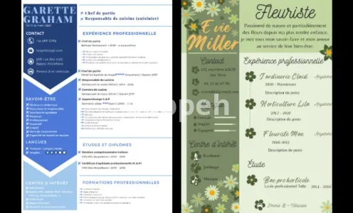 I will création de curriculum vitea