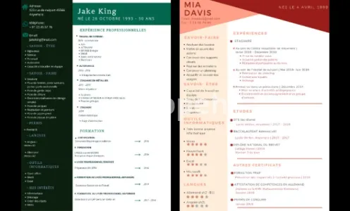 I will création de curriculum vitea