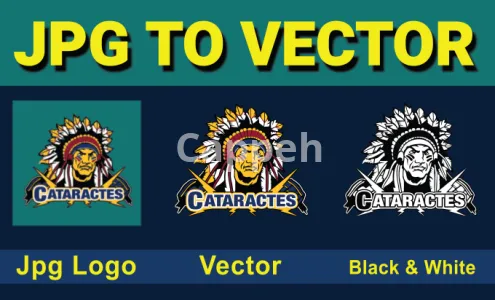 I will vector tracing, redraw logo, convert image to vector quickly