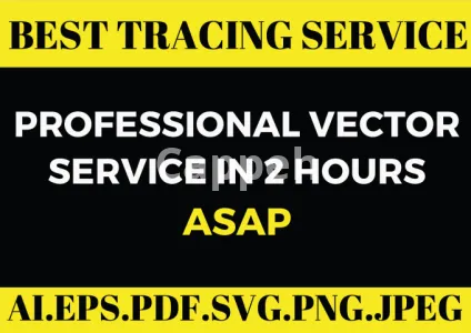 I will vector magic transforming raster images into vectors asap