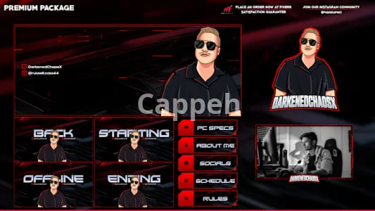 I will create a professional twitch overlay stream package