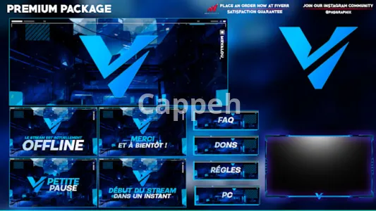 I will create a professional twitch overlay stream package