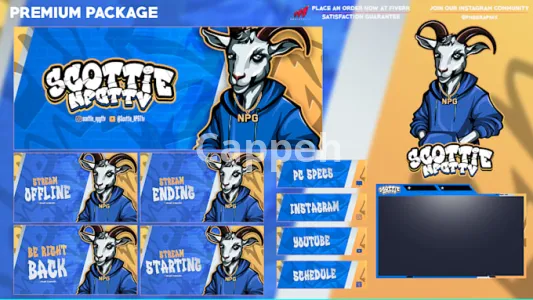 I will create a professional twitch overlay stream package