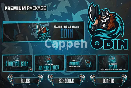 I will create a professional twitch overlay stream package