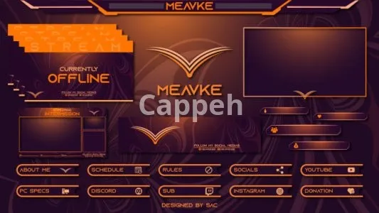 I will design professional animated twitch overlay and logo