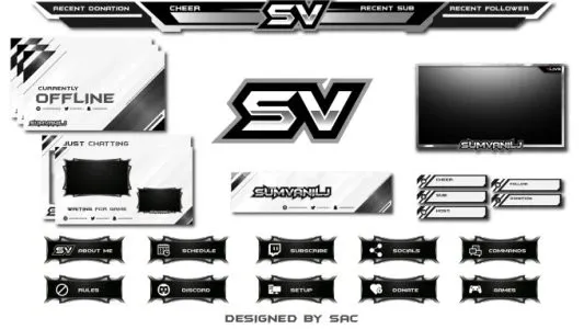 I will design professional animated twitch overlay and logo