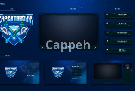 I will design an animated twitch stream overlay and logo