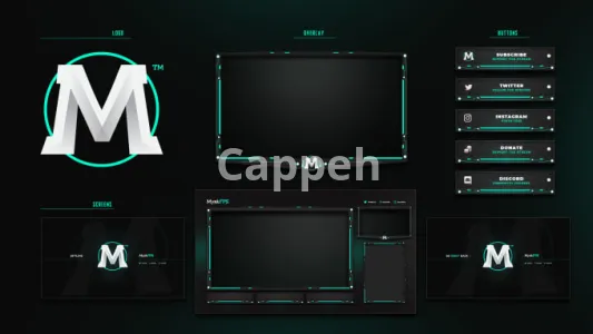 I will design an animated twitch stream overlay and logo