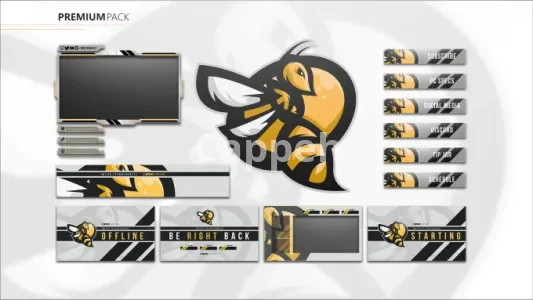 I will design an animated twitch stream overlay and logo