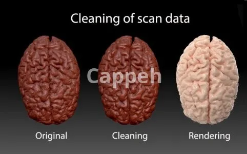 I will clean up 3d scan stl for 3d printing