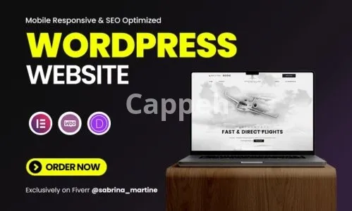 I will design or redesign wordpress website with elementor pro