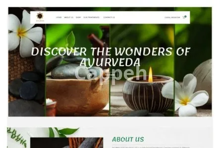 I will do affordable wordpress website design, edit, redesign cheap for small business