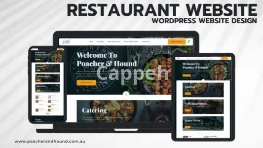 I will do affordable wordpress website design, edit, redesign cheap for small business