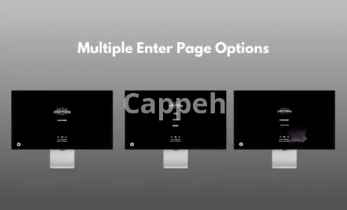 I will create your streetwear shopify website for your clothing brand store