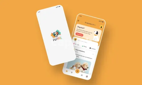 I will design modern app using figma or adobe xd